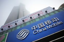 9分钟教程!西双版纳州政府热线_哔哩哔哩-3